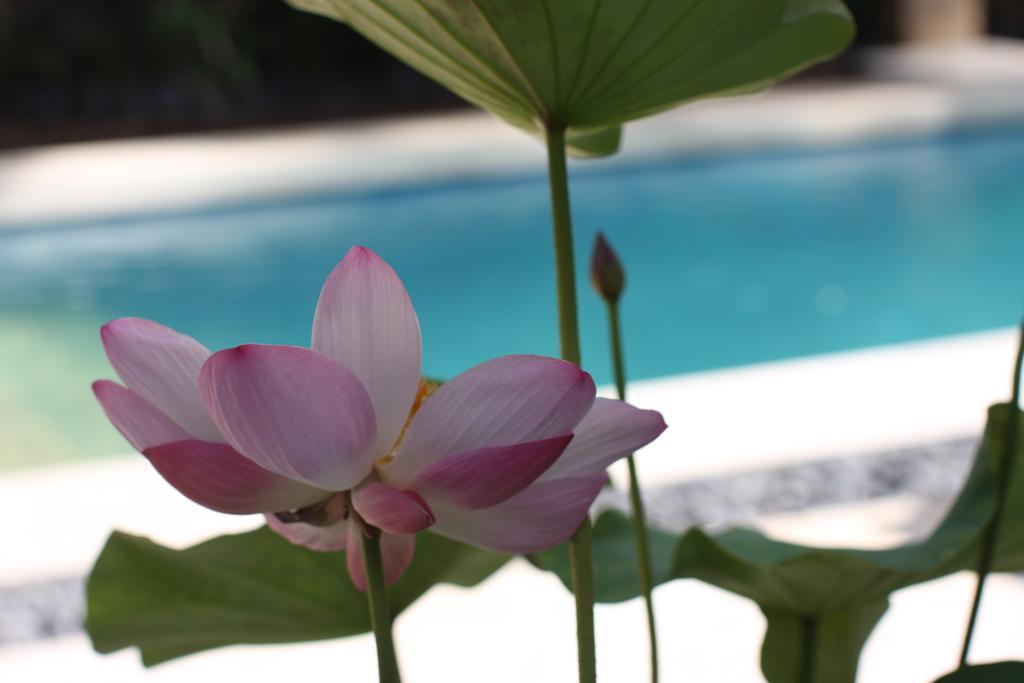 Villa Alu Lima Seminyak Szoba fotó